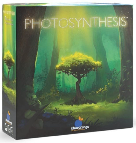 Picture of Photosynthesis